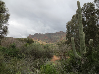 Boyce Arboritum